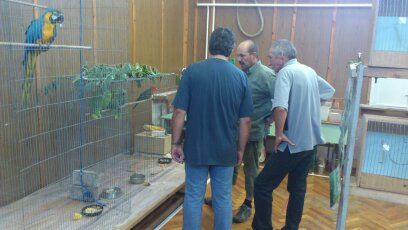 Sajókeresztúri kiállítás 2012 1346988304671.jpg