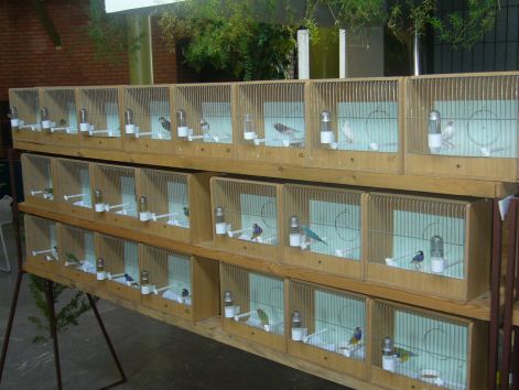 2007-es_kiallitas2.jpg 2007-es_kiallitas2.jpg