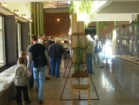 2007-es_kiallitas28.jpg 2007-es_kiallitas28.jpg