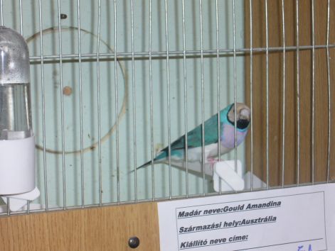 2007-es_kiallitas8.jpg 2007-es_kiallitas8.jpg