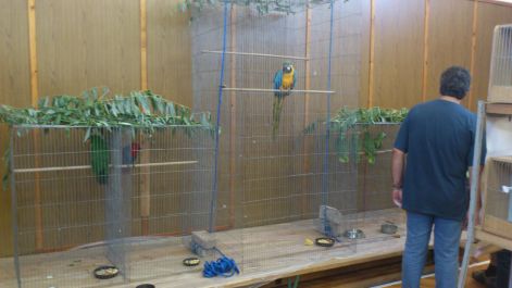 Sajókeresztúri kiállítás 2012 dsc_0103.jpg