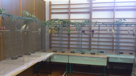 Sajókeresztúri kiállítás 2012 dsc_0107.jpg