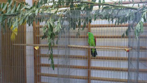 Sajókeresztúri kiállítás 2012 dsc_0109.jpg