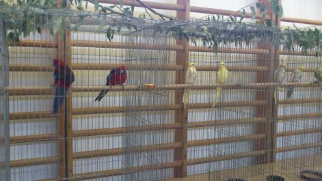 Sajókeresztúri kiállítás 2012 dsc_0110.jpg