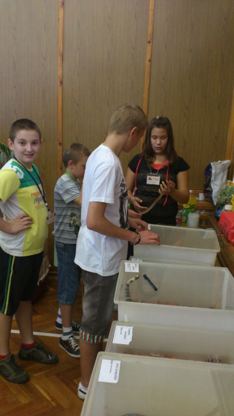 Sajókeresztúri kiállítás 2012 ujoncok dsc_0114.jpg