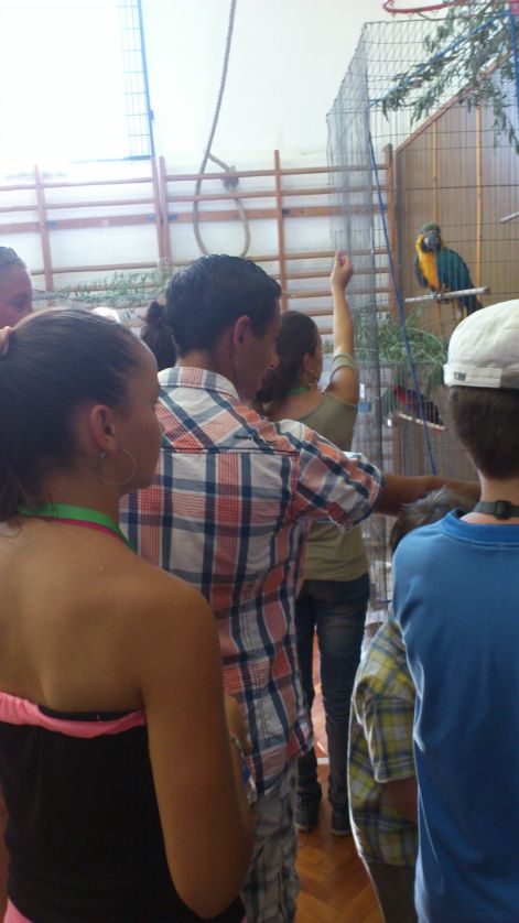 Sajókeresztúri kiállítás 2012 dsc_0131.jpg