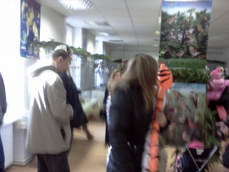 2012-es Kocsonya fesztivál Miskolc img20120225_001.jpg