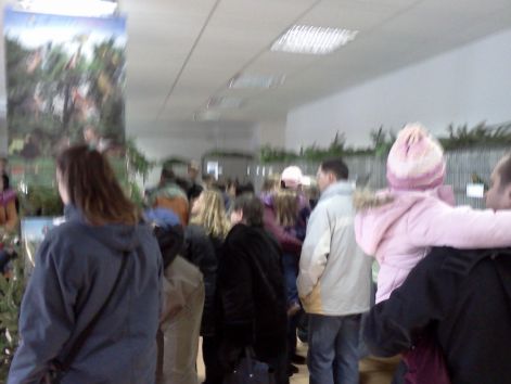 2012-es Kocsonya fesztivál Miskolc img20120225_002.jpg