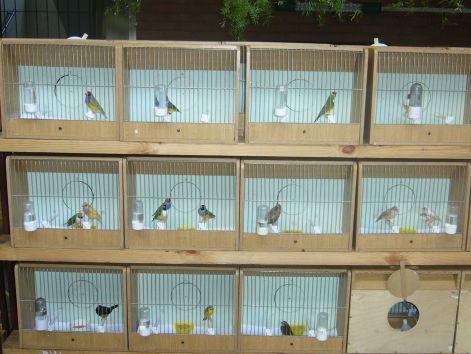 p1020013.jpg p1020013.jpg