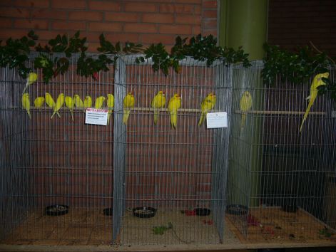 p1020058.jpg p1020058.jpg