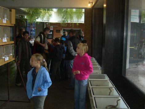 p1020061.jpg p1020061.jpg