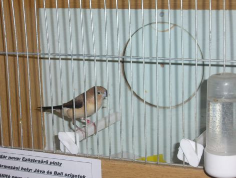 p1020100.jpg p1020100.jpg