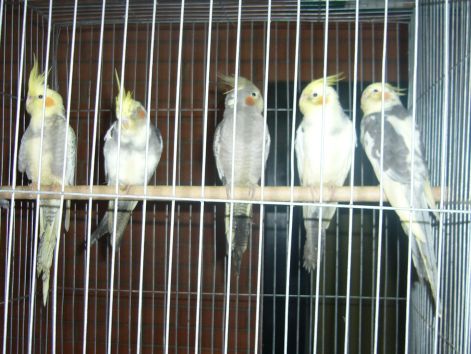 p1020104.jpg p1020104.jpg