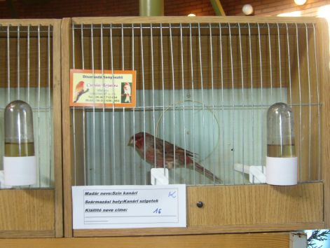 p1020109.jpg p1020109.jpg