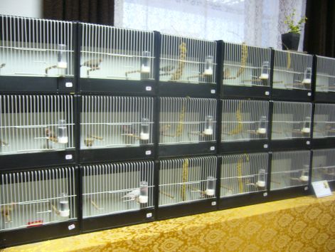 p1030988.jpg p1030988.jpg