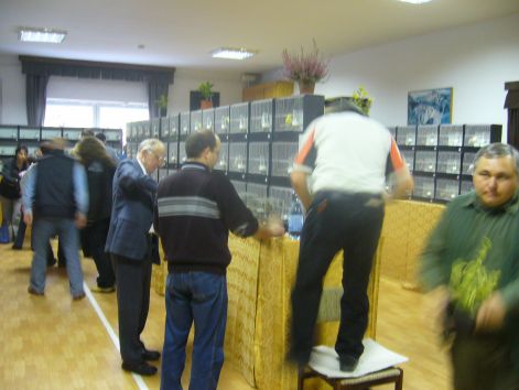 p1030989.jpg p1030989.jpg