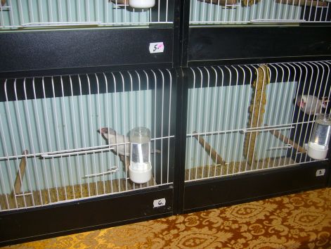 p1030991.jpg p1030991.jpg