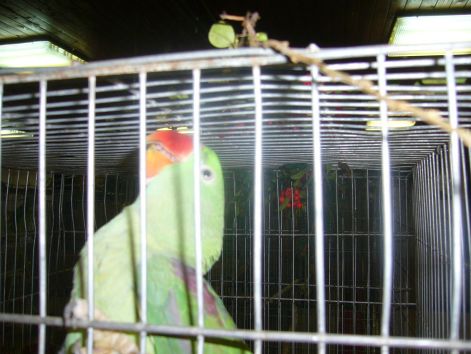 p1040010.jpg p1040010.jpg