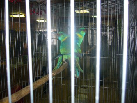 p1040011.jpg p1040011.jpg