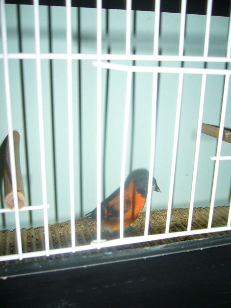 p1040021.jpg p1040021.jpg