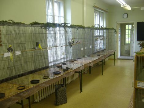 Putnoki kiállítás p1050239.jpg