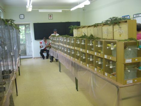 Putnoki kiállítás p1050240.jpg